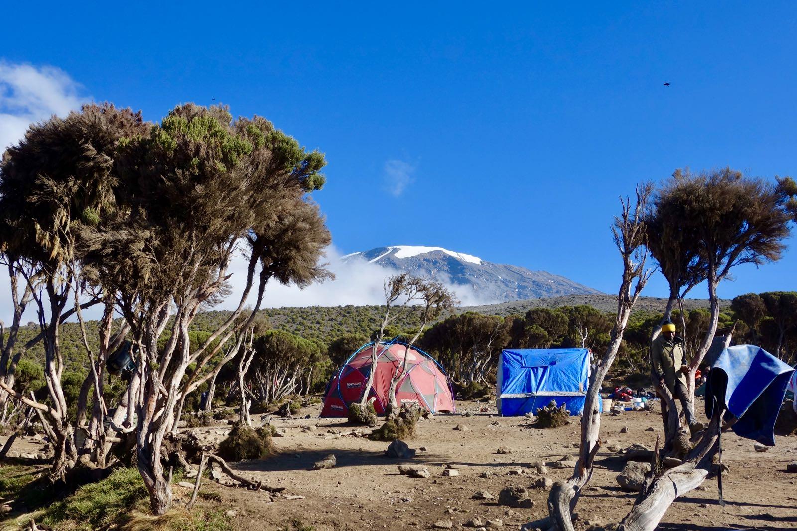 Millenium-Camp