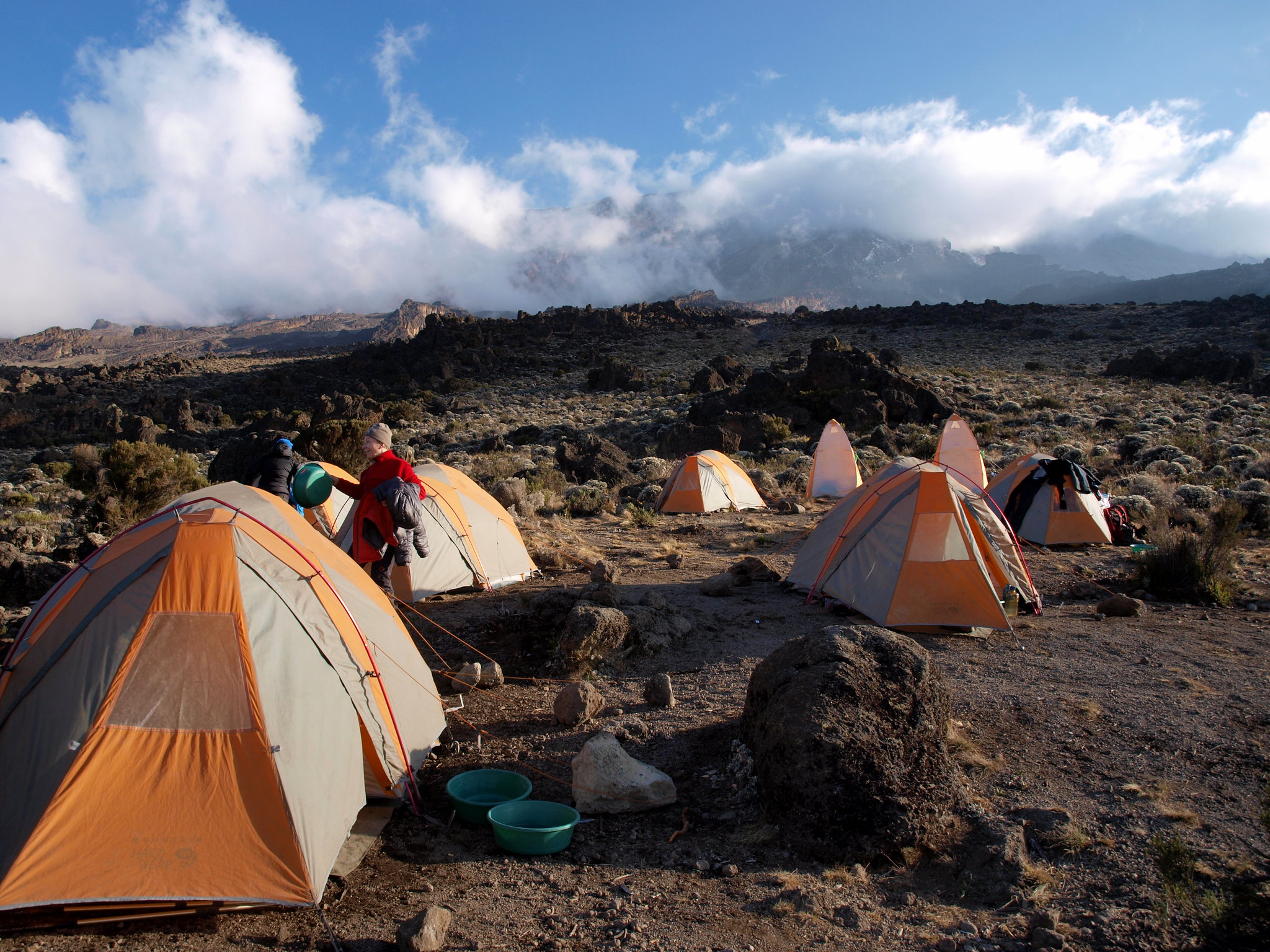 buffalo camp