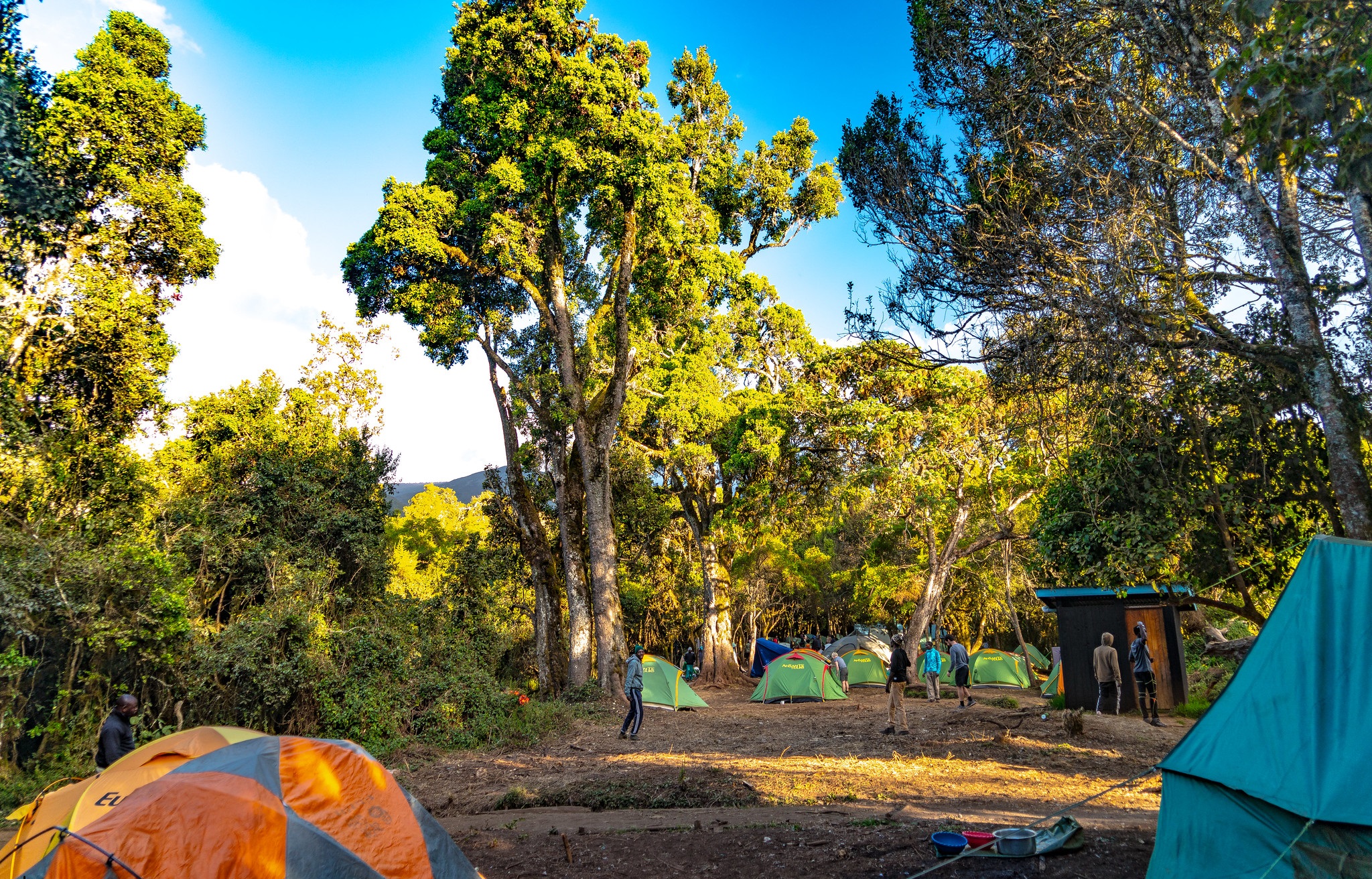 mti-mkubwa-camp (1)